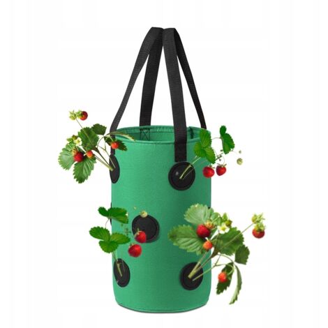 OLLA COLGANTE Bolsa POLLO TOMATES FRESAS FRESAS BOLSITAS 35
