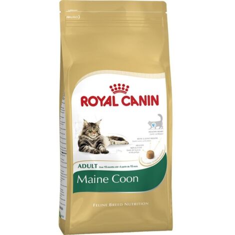Pienso ROYAL CANIN MAINE COON para gatos adultos - 4Kg (1/4)