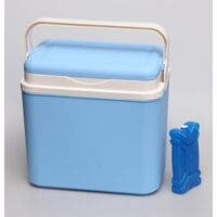 Nevera portátil para picnic, azul, 10 l