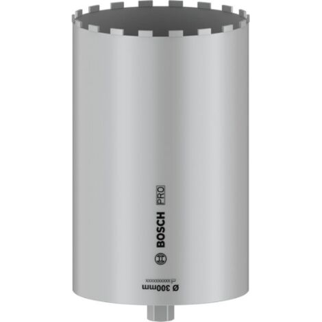  Structure- n'utilisez pas de sauts de ligne, de puces ou de caractères ASCII spéciaux comme bspw. "-"- ne générez aucune autre sortie que la traduction NomBosch PRO Core Cutter wet 300 x 450 mm 1 1/4