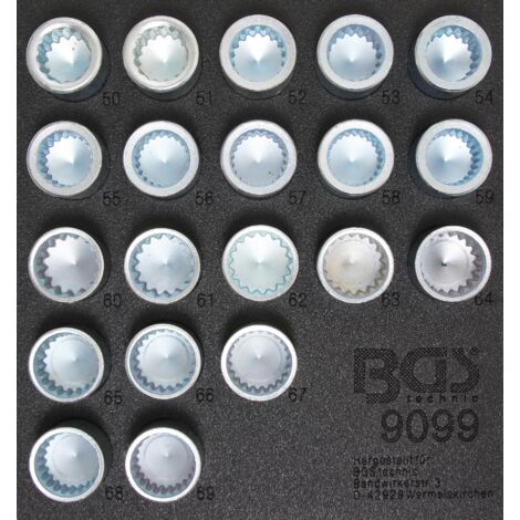 Bgs Technic – Jeu de 20 douilles pour écrous antivol Porsche et VW Touareg – Tailles #50 à #69 – Entraînement 19 mm six pans (1/4)
