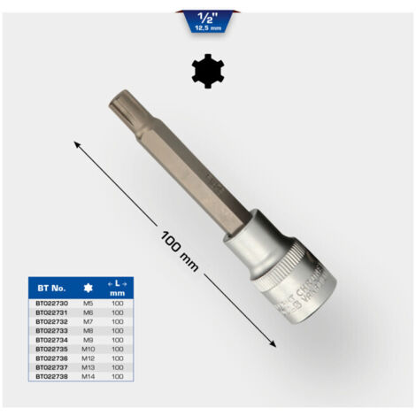 BRILLIANT TOOLS Douille à embout RIBE 1/2" 100 mm de long M6 - BT022731 (1/5)