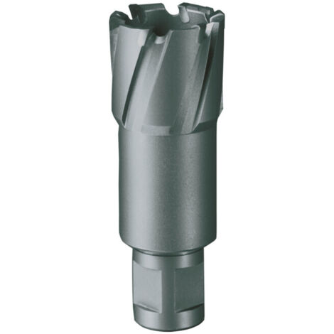 Fraises à carotter carbure à denture rapportée avec attache Weldon (3/4"). Ø 31 mm (1/5)