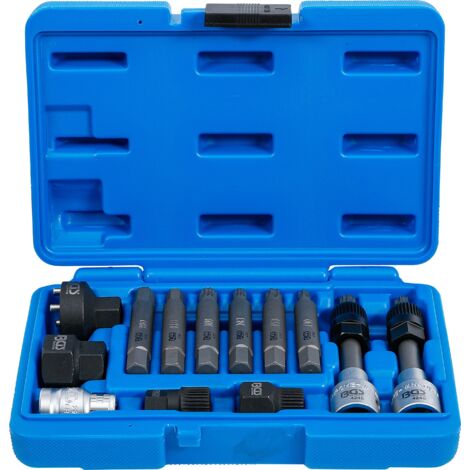Bgs Technic – Jeu de douilles à embouts pour alternateur 12,5 mm – 13 pièces avec adaptateurs pour VW, Audi, BMW, Ford – 4246 (1/6)
