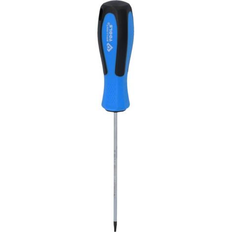 BRILLIANT TOOLS Tournevis TORX T8 x 100 mm - BT031039 (1/5)