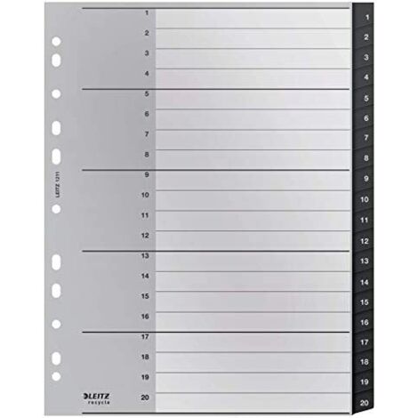 Leitz Register Recycle 12110000 A4 1-20 schwarz (1/5)