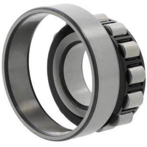 Roulements à rouleaux cylindriques 19mm Ext 85mm Int 45mm foret cylindrique .FAG (1/2)
