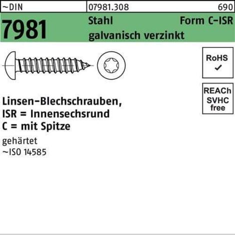 ISO 14585 m.Innensechsrund/Spitze (1/2)
