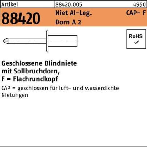 Rivet POP R 88420 Flachrundkopf (1/2)