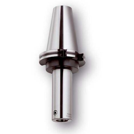 Werkzeugschaft DIN 69871 D.12mm ISO AS 340 022 100 R PRAMET (1/2)