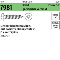 DIN 7981/ISO 7049 m.Kreuzschlitz-PZ
