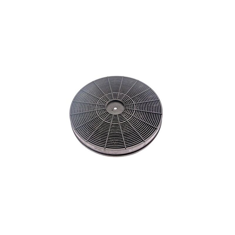 Filtre charbon F233 hotte Whirlpool Indésit 484000008788 C00384660