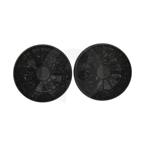 Lot de 2 filtres à charbon CF110 pour hotte CANDY, ROSIERES - 49037930