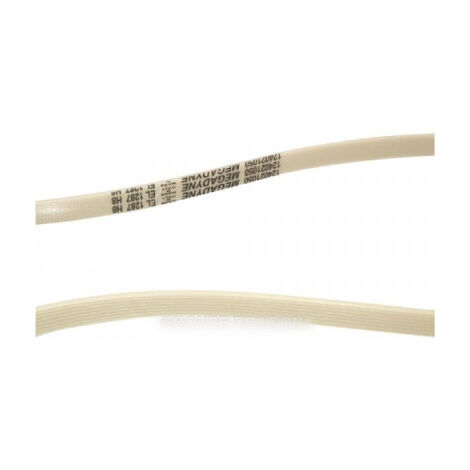 Courroie pour Lave-Linge ELECTROLUX 1326721006