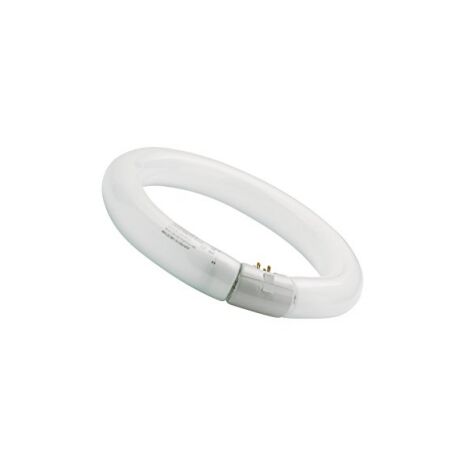 Sylvania – Tube fluorescent T9 Circline 32W Cool White – Culot G10q – Éclairage efficace pour bureaux et espaces commerciaux