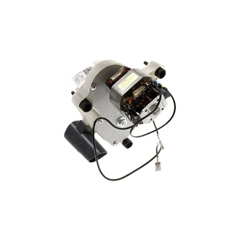 Delonghi – Moulin à café électrique 150W – Mouture précise pour expresso – 12 tasses – Idéal pour amateurs de café frais