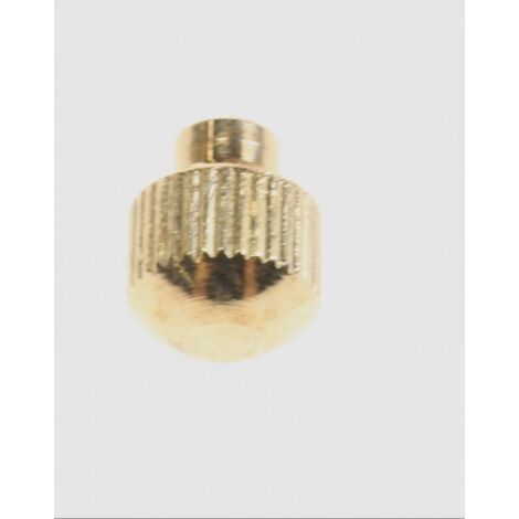 BOUTON PROGRAMMATEUR DORE POUR FOUR SMEG (1/3)