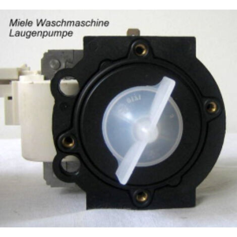 Miele 4301357800 Machine a laver Accessoires pompes a eaux usees Pompe (1/5)
