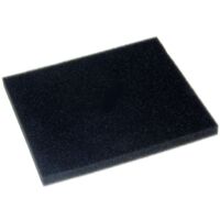 Filtre mousse pour Aspirateur PHILIPS 422245946171