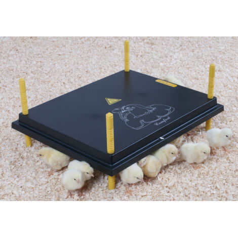 Panneau chauffant pour poussins 40x50 cm – Coque en plastique isolante – Hauteur réglable – Pour 40 à 45 poussins – 50W – Chemin Des Poulaillers