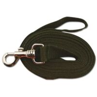 Longe pour chien 5m kaki ou orange