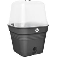 Pot De Culture Kit Green Basics Carré 30cm Living Noir - Elho