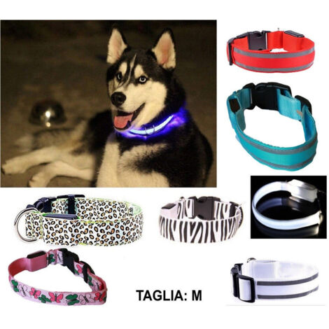TRADE SHOP - Collare Per Cane Cani A Led Luminoso Sicurezza Led Notturno Clip Fantasia Tg.m -