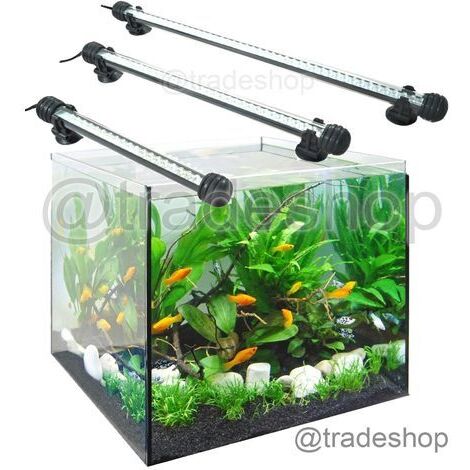 TRADE SHOP - Lampada Immersione Led Per Acquario Tubo Led T4 Dee Luce Pesci Bianca Rgb Blu - -Bianco Freddo 30 cm -