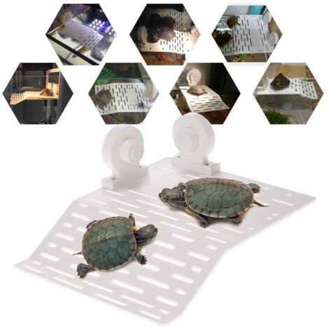 TRADE SHOP - Isola Galleggiante Per Tartaruga Tartarughe Rettile Con 2 Ventose Acquario -