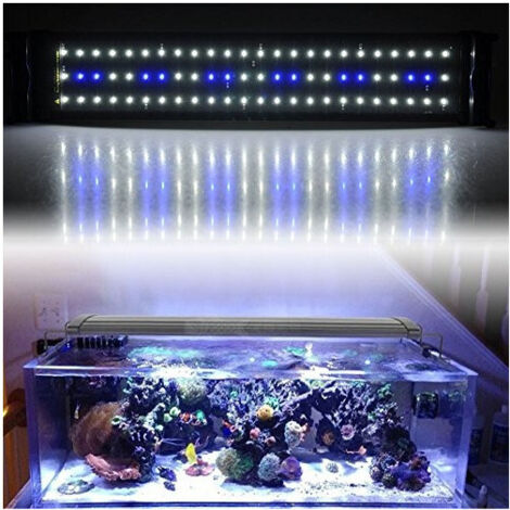 TRADE SHOP - Lampada Plafoniera A Led Per Acquari A Bordo Vasca Regolabile Luce Bianca + Blu - -led450 -