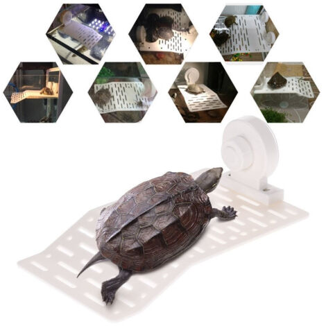 TRADE SHOP - Isola Galleggiante Plastica Con Ventosa Piattaforma Tartarughe Rettili Acquario -