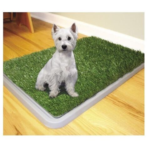 TRADE SHOP - Dog Toilette Cani Potty Patch Lettiera Wc Lavabile 3 Strati Bisogni Animali 43 X 68 Cm -