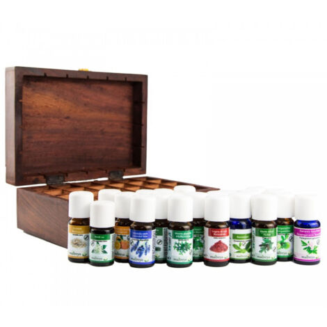 TRADE SHOP - 2 Oli Essenziali Aumento Della Concentrazione Per Diffusore Di Aromi 10ml -