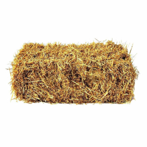 TRADE SHOP - Paglia Colore Legno Da 1kg Per Decorazioni Addobbi Presepe Cesti Da Regalo -