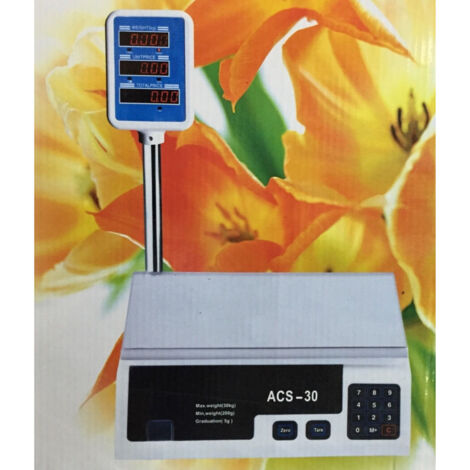 TRADE SHOP - Bilancia Pesa Max 30 Kg Digitale Elettronica Professionale Grammi Chilo Chili -