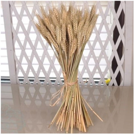 TRADE SHOP - Spighe Di Grano Fascio 80 Pezzi Colore Naturale Artificiali H92cm Decorazione -