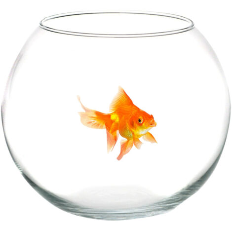TRADE SHOP - Ampolla Boccia Per Pesci In Vetro 35 Cm Acquario Pesce Rosso Centrotavola -