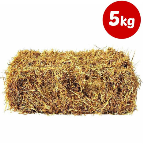 TRADE SHOP - Paglia Colore Legno Da 5 Kg Per Decorazioni Addobbi Presepe E Cesti Da Regalo -