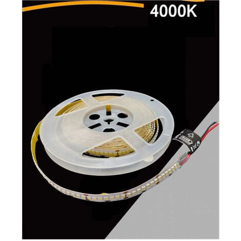 TRADE SHOP - Strip Striscia Led 5mt Dc 24v Smd 2835 Ip20 90w Luce 3000k 6500k 4000k Dc24v-240 - -Bianco Naturale -