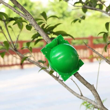 14 pieces plant root box, cultivation ball, grafting box, high-pressure cultivation ball box, plant rooting device (L+M+S, green)
