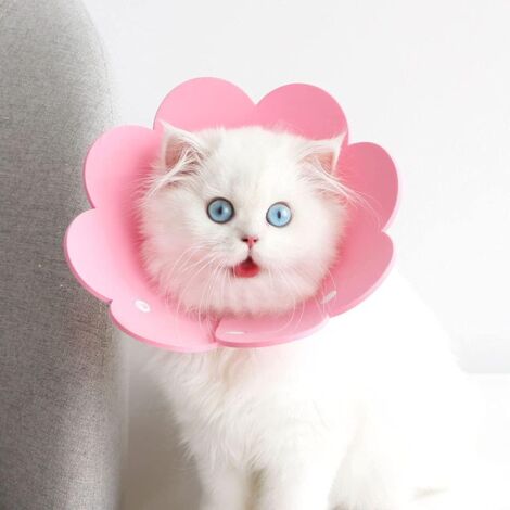Pet Collar, Anti-Lick Collar, Protective Collar, Elizabethan Cat Collar (Pink, L)