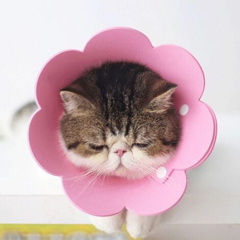 Pet Collar, Anti-Lick Collar, Protective Collar, Elizabethan Cat Collar (Pink, L)