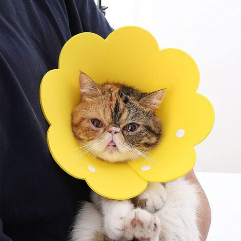 Pet Collar, Anti-Lick Collar, Protective Collar, Elizabethan Cat Collar (Yellow, M)