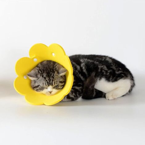 Pet Collar, Anti-Lick Collar, Protective Collar, Elizabethan Cat Collar (Yellow, M)
