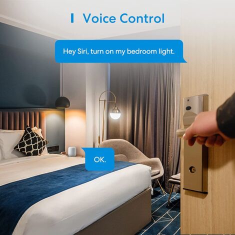 Connected socket (Type F), intelligent socket compatible with Apple HomeKit, Siri, Alexa, Google Home and Google Nest, programmable WiFi socket with voice command and remote control (1 piece)