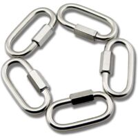 M6 Stainless Steel Quick Release Carabiner Chain Links in D-Shape, 5 Pieces