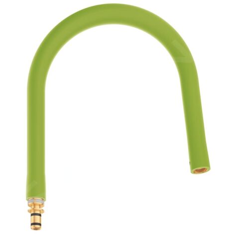 Grohe Essence - Flexible robinet de cuisine, vert 30321GE0 (1/3)
