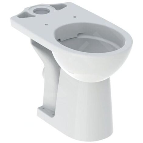 Geberit Selnova Comfort - Cuvette à poser, sortie arrière, Rimfree, blanc 500.486.01.7 (1/3)