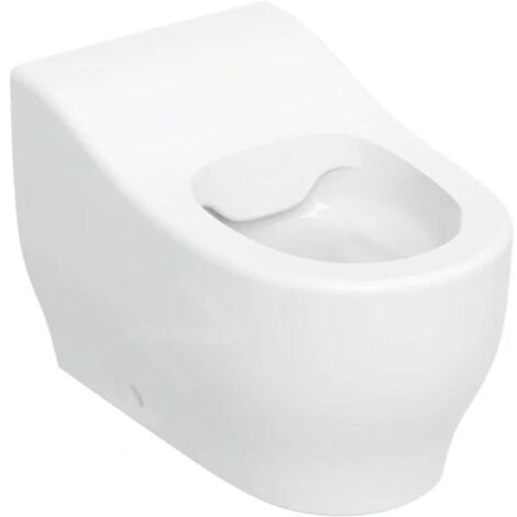 Geberit Bambini - WC à poser, pour enfants, Rimfree, blanc 502.965.00.1 (1/3)