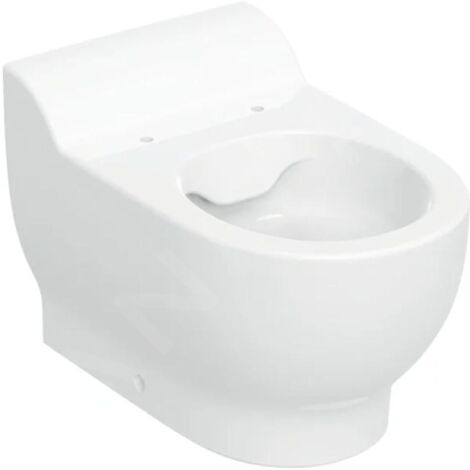 Geberit – WC à poser pour enfants – Céramique sanitaire – Évacuation horizontale – Technologie Rimfree – Dimensions 530 x 330 x 365 mm (1/3)